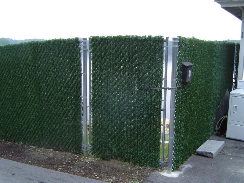 Hedge Slats, Gate